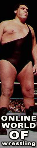Online World of Wrestling