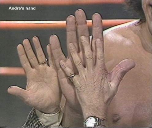 Image result for andre the giant hand