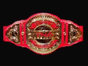 Tag Team Knockouts Champion TNA
