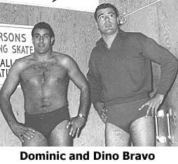 Dino Bravo - OWW