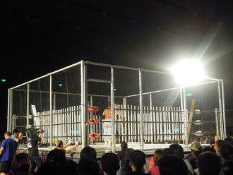 Steel cage 2