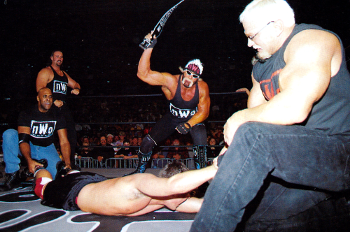 Hogan whip