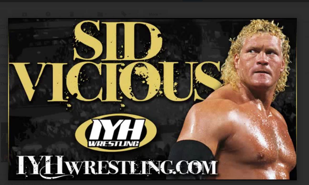 Sid Vicious Compares HBK to Bret Hart, and More