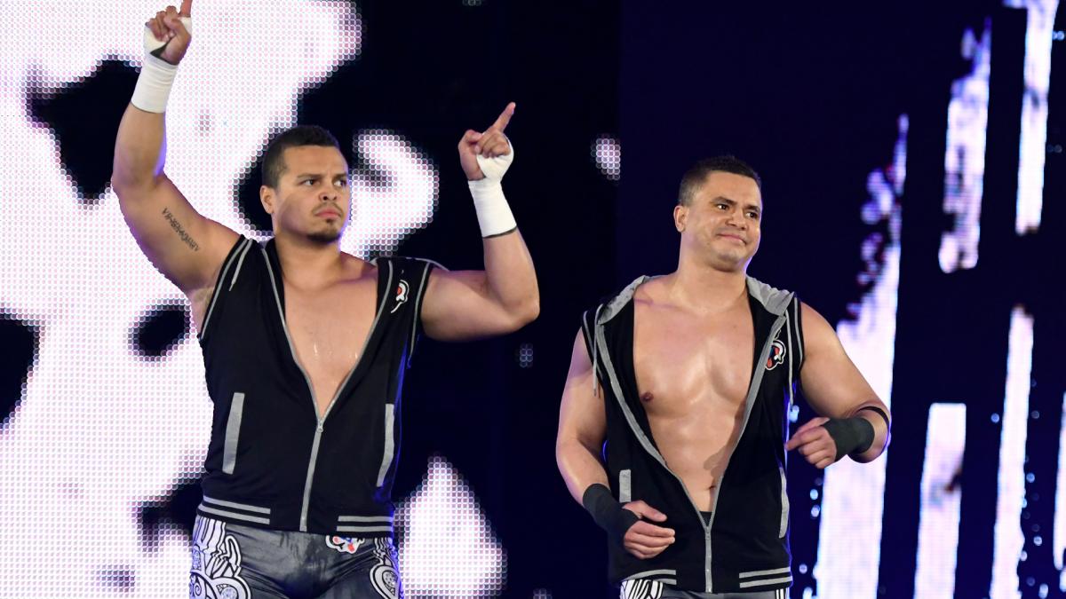 The Hype Bros - Online World of Wrestling