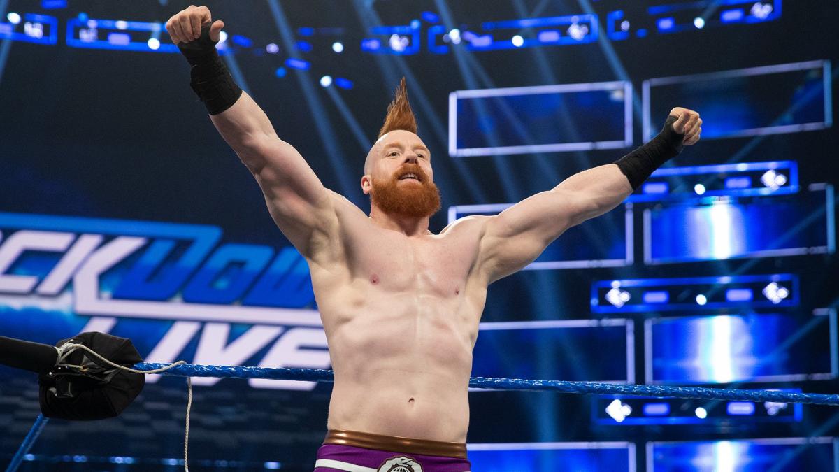 Update On Sheamus Current Status With WWE